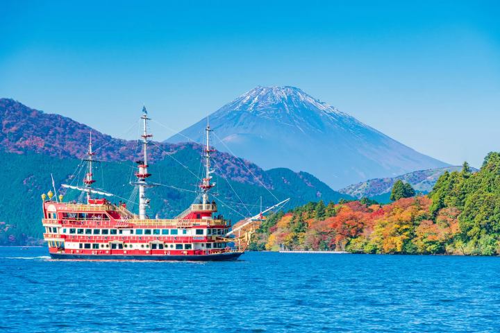 Shinkansen with Mt. Fuji Views and More! Top 15 Tickets to Prebook 2024