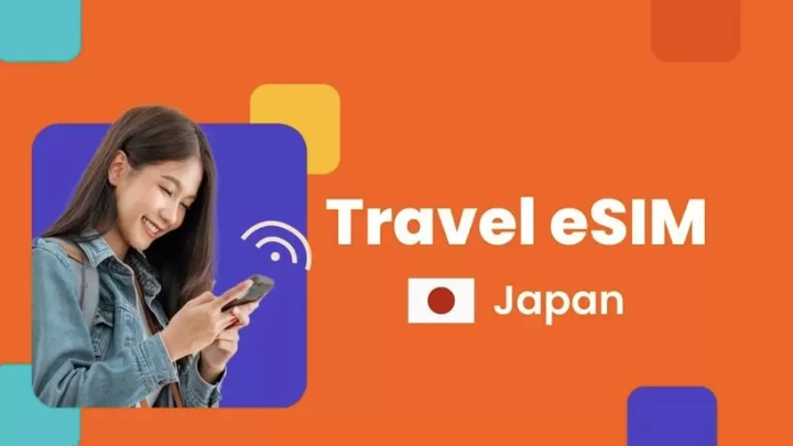 Shinkansen with Mt. Fuji Views and More! Top 15 Tickets to Prebook 2024