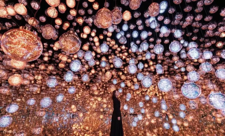 Shinkansen with Mt. Fuji Views and More! Top 15 Tickets to Prebook 2024