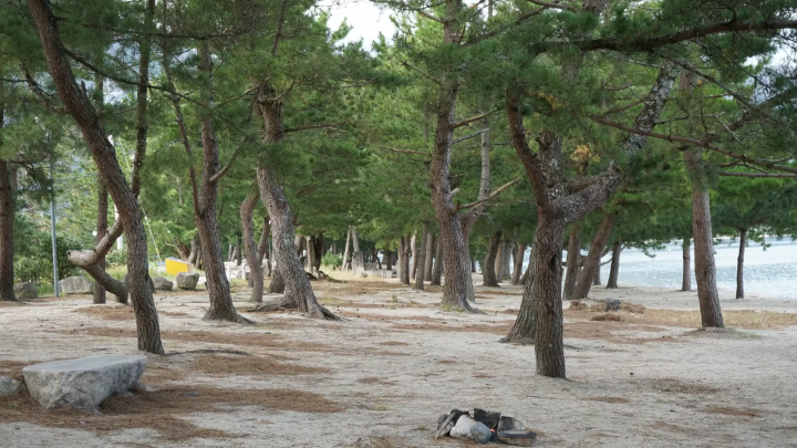 Lake Biwa: 10 Attractions and Scenic Views at a Destination Beloved by Poets