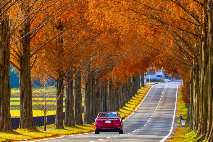 Lake Biwa: 10 Attractions and Scenic Views at a Destination Beloved by Poets