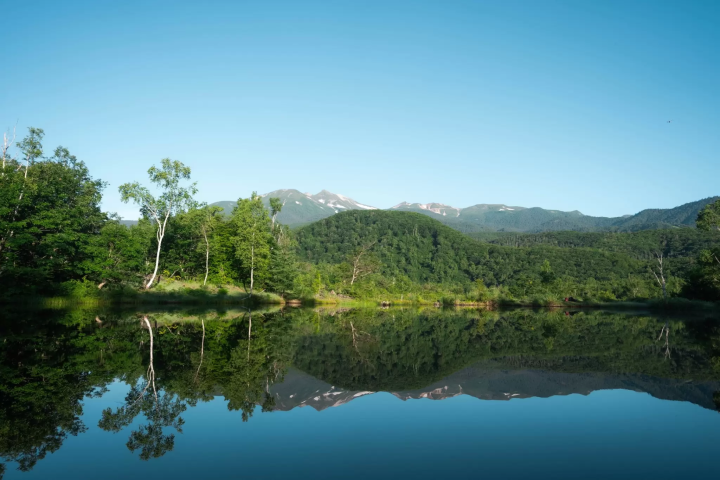 [國家公園內的山地自行車歩道] 介紹可以感受長野縣松本市乘鞍高原自然風光的歩道
