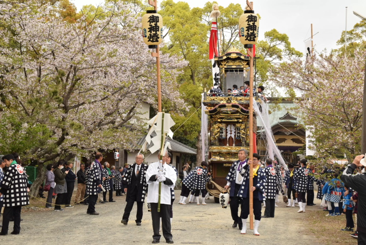 參觀知多的傳統節日和幸運點
