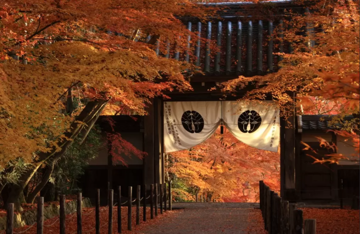 【교토부】렌터카로 여행을 쾌적하게! 교토부의 추천 렌터카 대출 장소 랭킹!