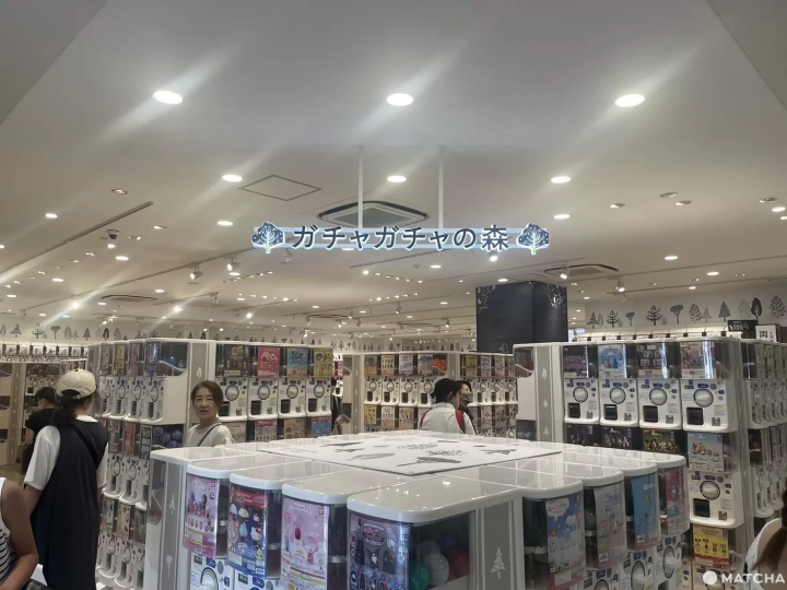 Experience different cultures in Harajuku