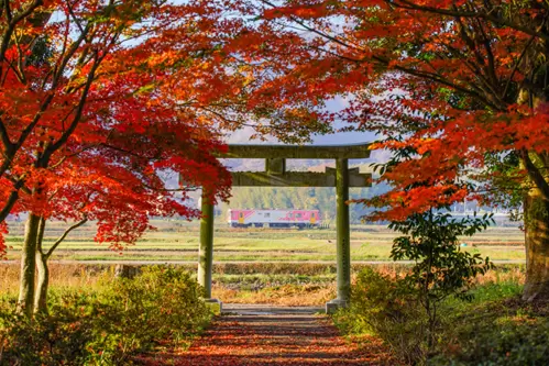 Train station gourmet and historical sites! Going to Kasai city with the Hojo railway