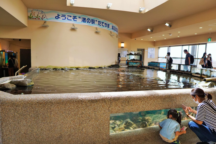 [ชิบะ/ทาเทยามะ] สัมผัสทะเลในทาเทยามะที่ทาเทยามะ "สถานีชายหาด"!