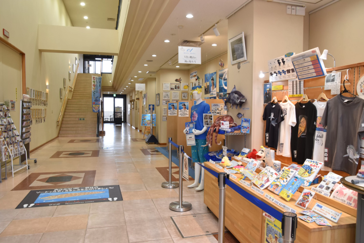 [ชิบะ/ทาเทยามะ] สัมผัสทะเลในทาเทยามะที่ทาเทยามะ "สถานีชายหาด"!