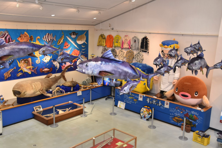 [ชิบะ/ทาเทยามะ] สัมผัสทะเลในทาเทยามะที่ทาเทยามะ "สถานีชายหาด"!