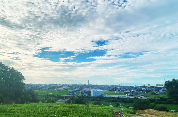 從關西機場搭火車20分鐘！全面介紹泉佐野的觀光、美食、特產