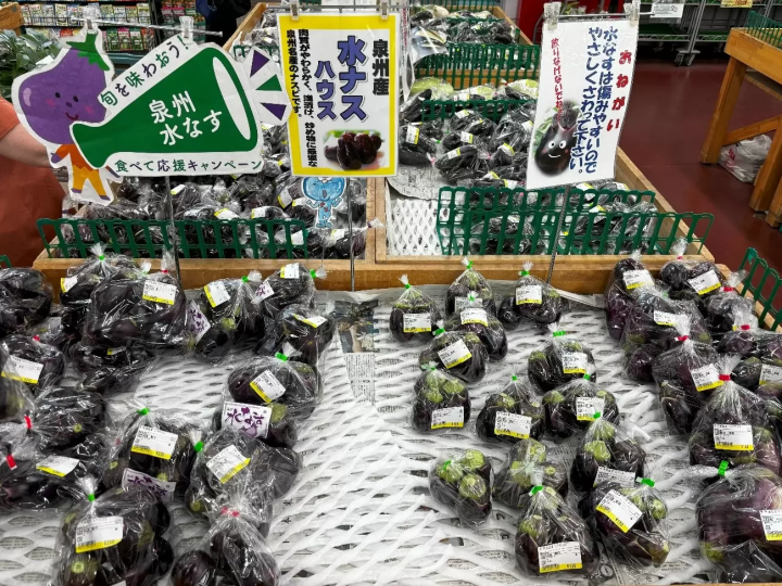 從關西機場搭火車20分鐘！全面介紹泉佐野的觀光、美食、特產