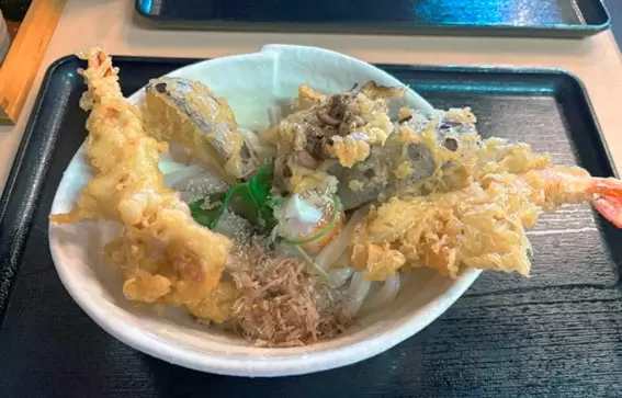 從關西機場搭火車20分鐘！全面介紹泉佐野的觀光、美食、特產