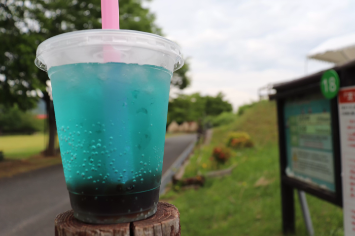 【天橋立から１時間】京都北部を堪能できる 丹後王国「食のみやこ」の魅力をご紹介！