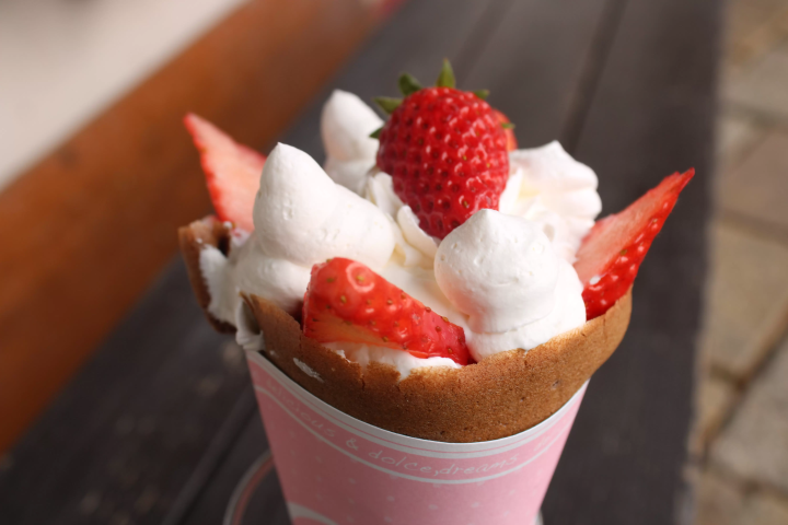 【天橋立から１時間】京都北部を堪能できる 丹後王国「食のみやこ」の魅力をご紹介！