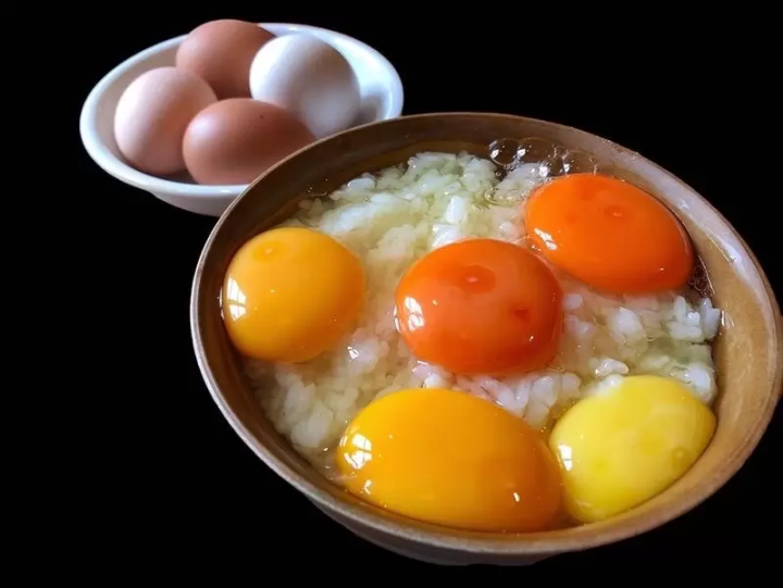 【天橋立から１時間】京都北部を堪能できる 丹後王国「食のみやこ」の魅力をご紹介！