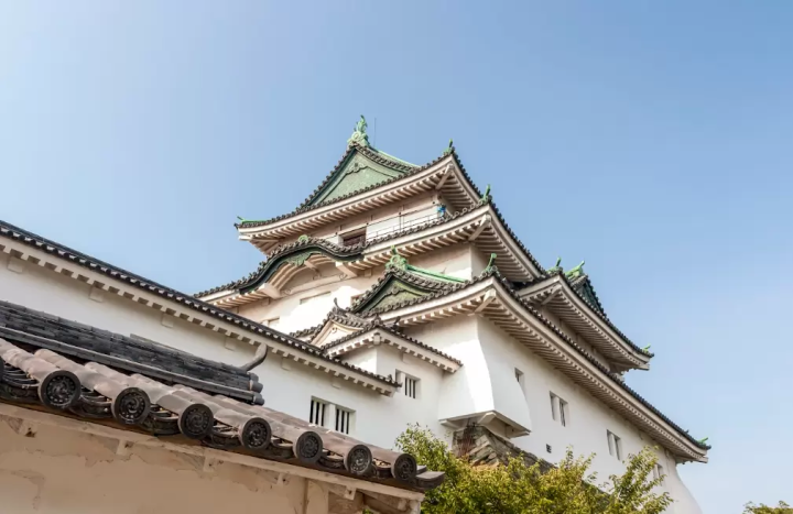 [和歌山縣] 租車選擇時的幫助！和歌山縣推薦出租地點排名！