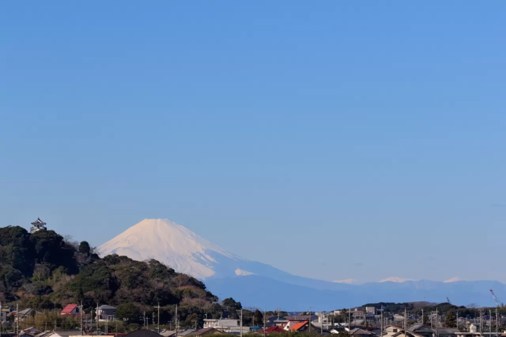 【千葉・館山】館山城で『南総里見八犬伝』の物語に触れよう！