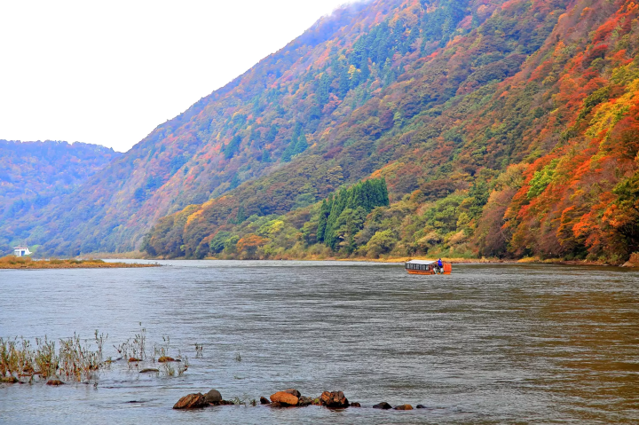 【Yamagata】Five Selected Maple Leaf Viewing Spots: Capture the Stunning Valley and Enjoy a Boat Ride Amidst Autumn Foliage