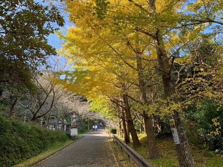 [千葉/館山]在面白山公園感受季節的變化！