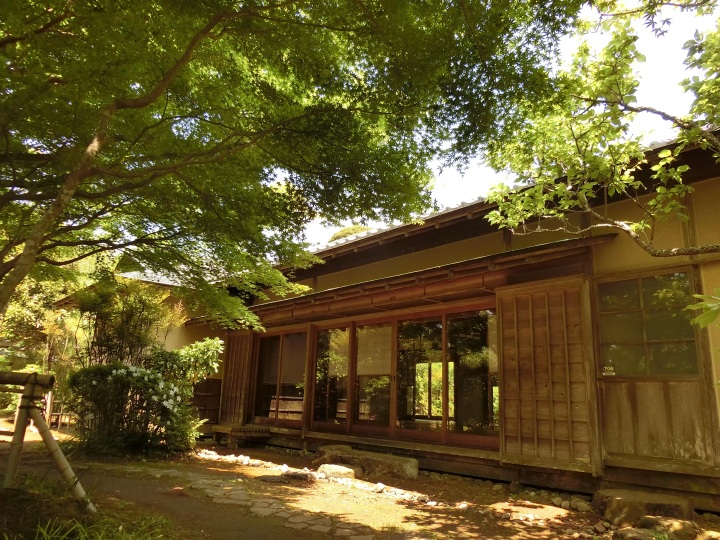 [千葉/館山]在面白山公園感受季節的變化！