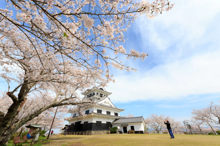 [千葉/館山]在面白山公園感受季節的變化！