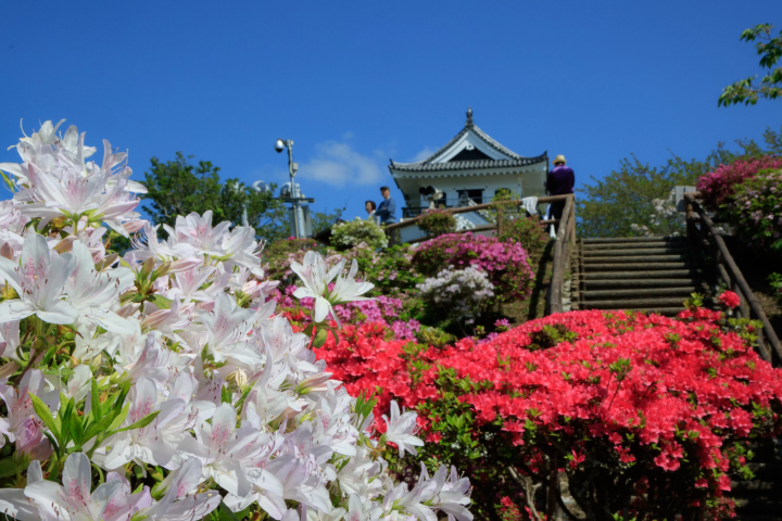 [千葉/館山]在面白山公園感受季節的變化！