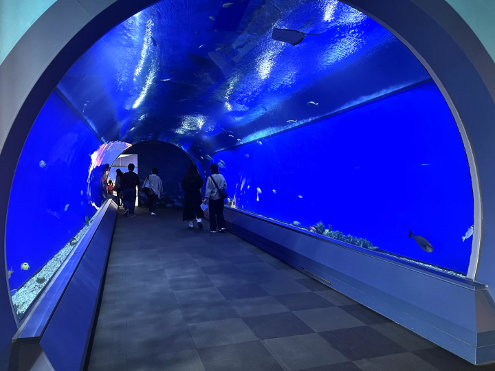 [From Eeyan ! Osaka Shopping Street] สัมผัสประกายแห่งชีวิตร่วมกับท้องทะเลที่ไคยูคัง