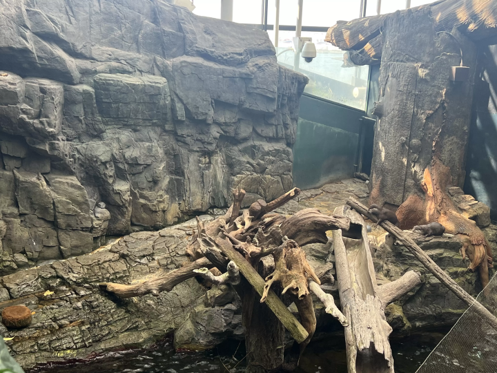 [From Eeyan ! Osaka Shopping Street] สัมผัสประกายแห่งชีวิตร่วมกับท้องทะเลที่ไคยูคัง