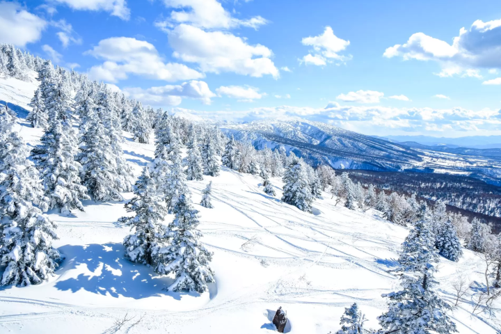 青森冬天八甲田山樹冰