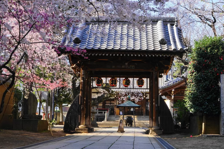 Nakano - 15 Things to Do in Tokyo's Retro Pop Culture Hub!