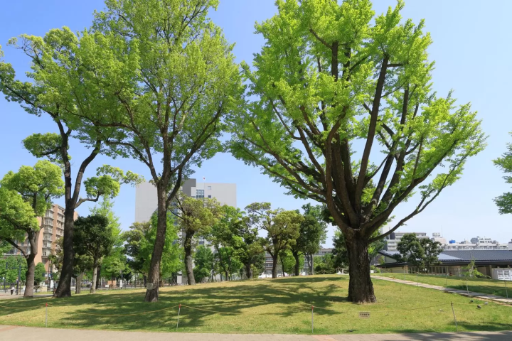 Nakano - 15 Things to Do in Tokyo's Retro Pop Culture Hub!