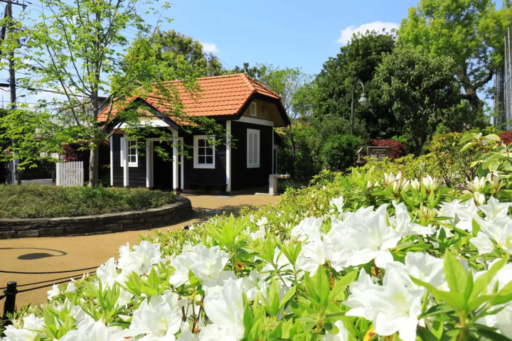 Nakano - 15 Things to Do in Tokyo's Retro Pop Culture Hub!