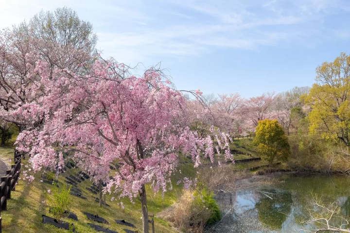 香川讚岐機場公園