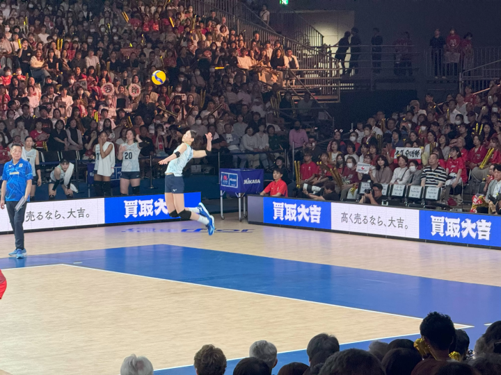 일본 배구/2024-25 시즌은 10월부터 전체 스케줄은?