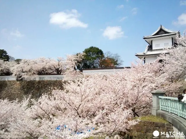 Kanazawa Weather: Record of Seasonal Changes! Recommended Seasons and Outfit Tips