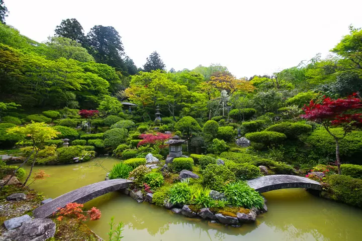 万福寺庭院 