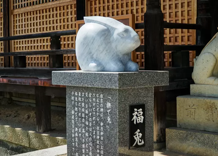 ▲被稱為“撫摸兔”