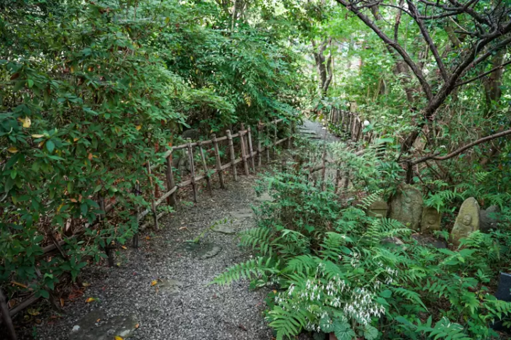 ▲根據季節不同可以欣賞到各種各樣的花和綠色的庭院