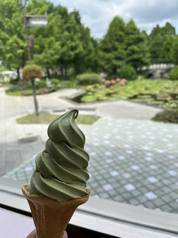 คุณสามารถไปเที่ยวแบบไปเช้าเย็นกลับจากเกียวโตได้! เพลิดเพลินกับทิวทัศน์อันน่าอัศจรรย์ที่มีเฉพาะในฤดูร้อน ณ จุดที่ไม่ค่อยมีใครรู้จักริมทะเลสาบบิวะ