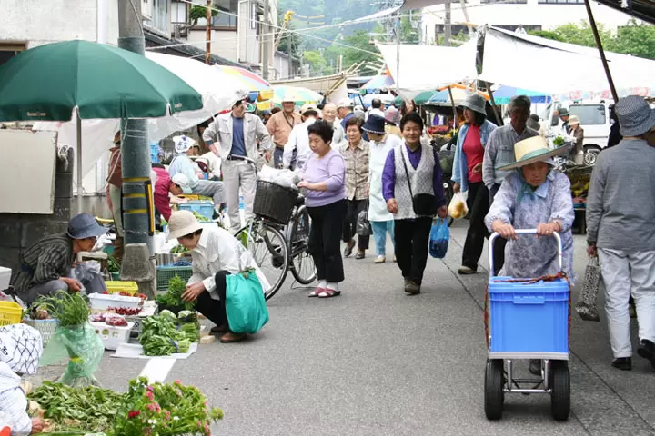 [从东京乘坐新干线+特急约3小时]新潟县村上市值得一试的当地美食+α