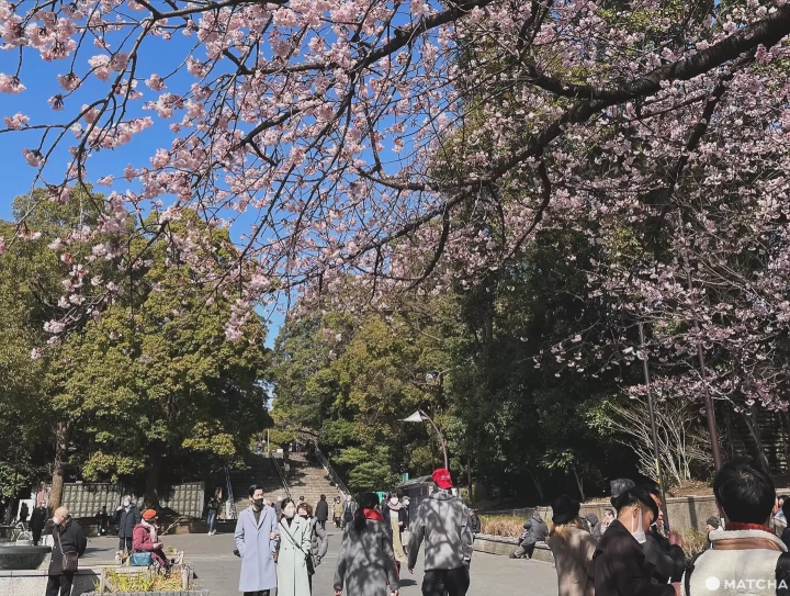 【東京公園五選】來場浪漫的野餐之旅吧