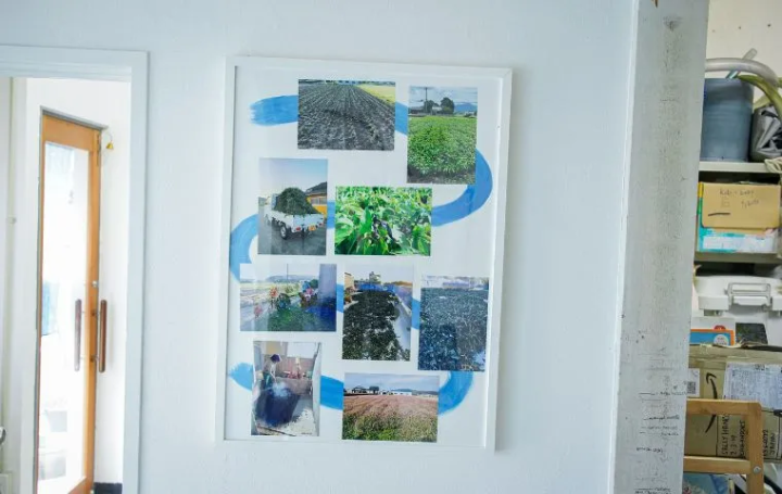 天然藍染体験：淡路島で学ぶスローファッションとサスティナビリティ