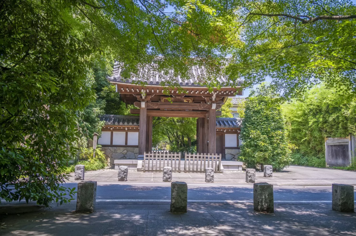 Koenji: 15 Things to Do in Tokyo's Creative Hub