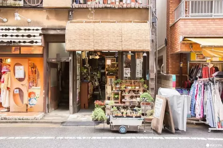 Koenji: 15 Things to Do in Tokyo's Creative Hub