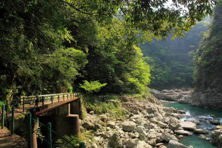 【야마구치현】여행에 최적인 렌터카를 소개! 야마구치현의 인기 대출 장소 랭킹!