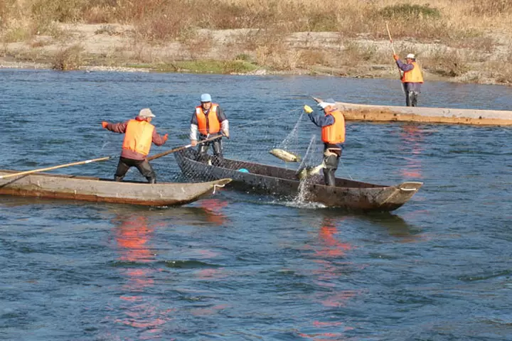 [从东京乘坐新干线+特急约3小时]新潟县村上市值得一试的当地美食+α