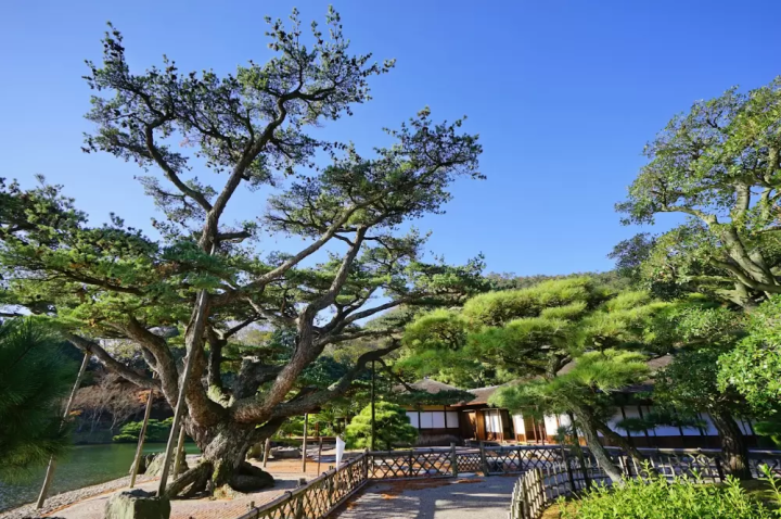 [Kagawa Prefecture] If you want to rent a car, here are the best places to do so! Ranking of popular rental locations in Kagawa Prefecture!