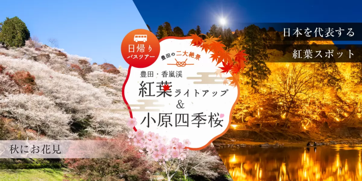 【名古屋駅から約1時間】香嵐渓紅葉＆小原四季桜日帰りバスツアー・柿食べ比べコース