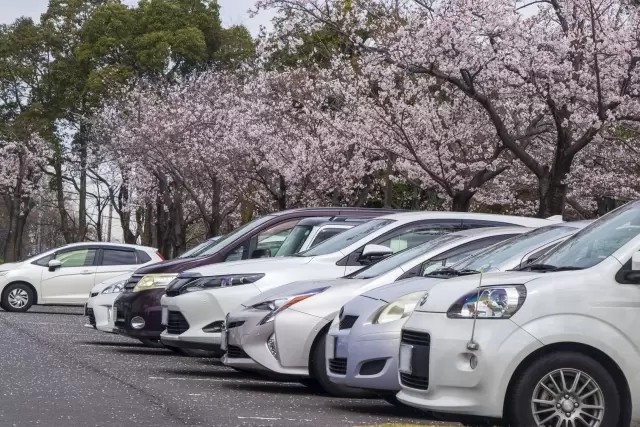 A 3-Night, 4-Day Kyushu Road Trip Course and Tips for Budget Driving!