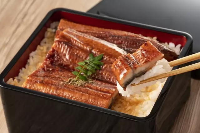 A 3-Night, 4-Day Kyushu Road Trip Course and Tips for Budget Driving!